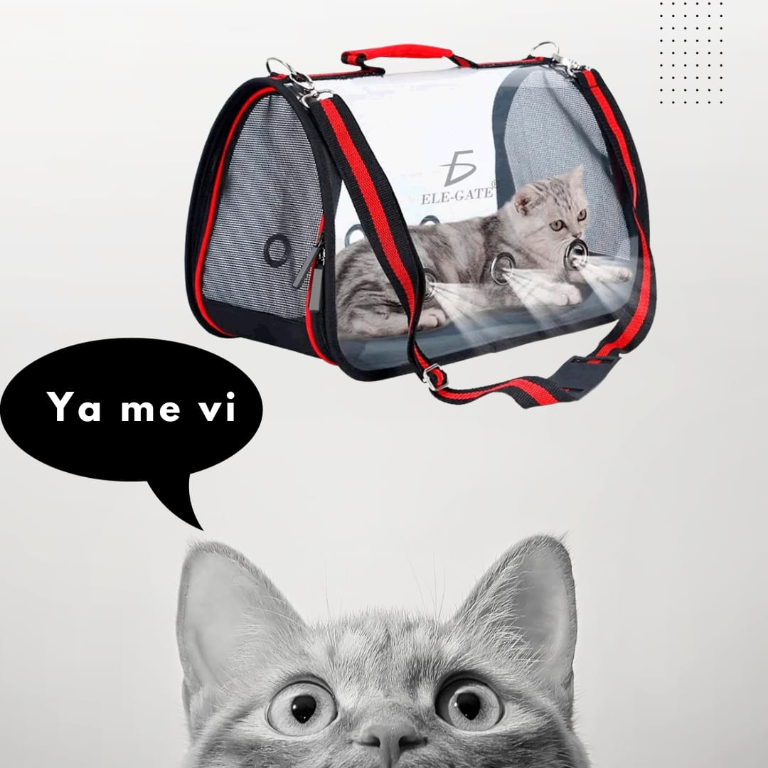 BOLSA TRANSPORTADORA DE PLASTICO PARA MASCOTAS